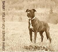 DEADROW77 - Dark Waves For Little Greys