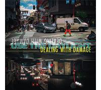 Dealing With Damage - Use The Daylight (Black) [Import]