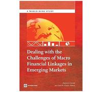 Dealing With The Challenges Of Macro Financial Linkages In Emerging Markets