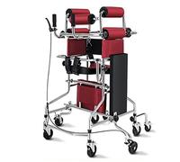 Déambulateur Cadre De Marche Avec Roues Pour Adultes, Aide À La Verticalisation, Formation Des Patients Victimes D'Avc, Cadre De Verticalisation Assisté Pour Personnes Âgées Et Handicapées,