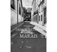 Déambulations dans le marais - Maayan Ezrati - Baudelaire - broché - Témoignage