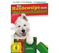Ein Hundewelpe zum Weihnachtsfest – Dean Cain, Kristy Swanson, Jason Dallas – DVD – SchröderMedia