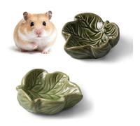 Deapeey Lot de 2 gamelles en céramique pour hamster, gerbille, hamster, rat, souris, cochon d'Inde (vert + vert foncé)