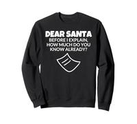 Dear Santa, Before I Explain How Much Do You Know Already ? Sweatshirt