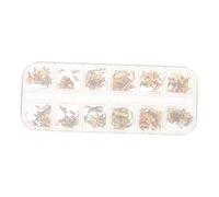 DEARMAMY Breloque pour Ongles Zodiaque Douze Constellations Décorations pour Nail Art Manucure