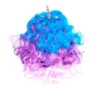DEARMAMY Perruque Arc-ciel Longue Pour Femme Bouclée Adaptée Cosplay Et Fêtes Avec Coffret Cadeau Pour Garçon Fille Filles Et Adultes