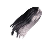 DEARMAMY Perruque Mi-noire Mi-grise Synthétique Dégradée Longue Pour Cosplay Et Fêtes Costumées