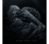 Death Above Life Édition Limitée Deluxe Vinyle Bleu Mer et Jaune Doré Éclaboussé Vinyle