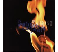 Death Cures Even Idiots