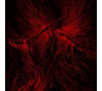 Clandestine Sacrament