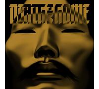 Aisha Devi – Death Is Home – Vinyle 12" (33 tours) – The Orchard