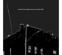 Death Is Not the End - Brooklyn Pirates: Neighbourhoods in the Sky, 2014-2021