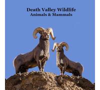Death Valley Animals and Mammals Kids Wildlife Book: Great Book About Animals that Live in the Hot Desert of Death Valley