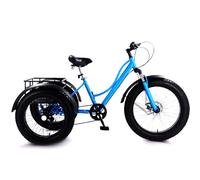 DEaThsalL Tricycle éLectrique à PéDales 24" pour Adulte pour Adultes et Personnes âgées Capacité De Charge 200 Kg 3 Roues pour Personnes âgées SièGe Souple en PP Blue