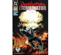 DeathStroke The Terminator #20