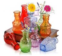 DEAYOU Lot de 10 vases à bourgeons en Verre Transparent pour Centre de Table, Mini Bouteilles de Fleurs Vintage, vases colorés Uniques, Petits vases Floraux de Table pour Plantes, décoration