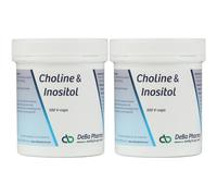 Deba Choline & Inositol Capsule(S) 2x100 pc(s)