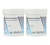 Deba Mineral Complex Capsule(S) 2x120 pc(s)