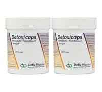 DEBA PHARMA Detoxicaps Capsule(S) 2x120 pc(s)
