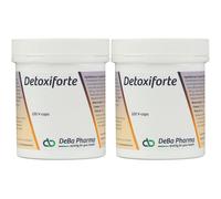 DeBa Pharma Detoxiforte Capsule(S) 2x120 pc(s)