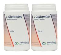 DEBA PHARMA L-Glutamine Poudre Soluble 2x250 g