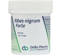 Deba Ribes Nigrum-Forte 500mg Capsules 60