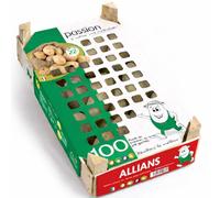 Debaere - Allians 100 Plants de pommes de terre