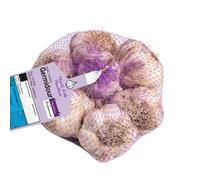 Debaere - GERMIDOUR Violet Ail a repiquer 500gr