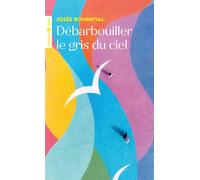 Débarbouiller le gris du ciel