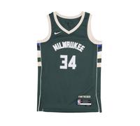 Debardeur de basket-ball pour hommes NBA Icon Edition 22 Dri-fit Swingman Jersey No 34 Giannis Antetokounmpo Milbuc Fir FIR 2XL