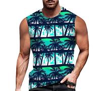 Débardeur double doublé anti-humidité imprimé graphique léger été décontracté coupe ample fête streetwear vacances classique débardeur pour homme, Vert, M