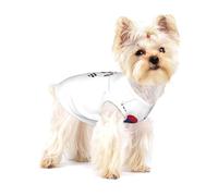 Débardeur léger sans manches pour chiens de petite taille avec drapeau de la République de Corée