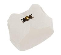 Débardeur pour hamster - Respirant et chaud - Style vintage - Pour petites et moyennes et grandes races - Fête festive - Photographie d'Halloween - Hiver