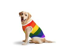 Débardeur respirant sans manches avec imprimé drapeau arc-en-ciel - T-shirt confortable et léger pour promenades et voyages