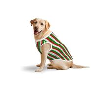 Débardeur respirant sans manches avec imprimé drapeau italien du Colisée romain pour grands animaux de compagnie T-shirt confortable et léger