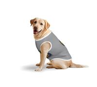 Débardeur respirant sans manches avec motif coquetier, nouilles et ramenprint pour animaux de compagnie, confortable, léger, pour promenades, voyages