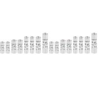 DEBFLEX - Lot 8 Fusibles : 2 x 10A + 2 x 16A + 2 x 20A + 1 x 25A + 1x 32A - 230V - Fusibles Céramique Pour Coffret Electrique - Avec Voyant Indicateur - Gris (Lot de 2)