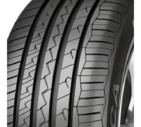 Debica Presto HP 2 | 205/55 R16 91W HP | Pneu été