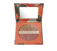 Deborah Milano - Maxi Terra Tropical Bronze Couleur 01 Light, SPF 15, Long Lasting et Résistant à l'eau, Texture soie et Facile à fumer pour un résultat uniforme, sans macchie, 18 g