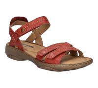 Debra 62 rot 36