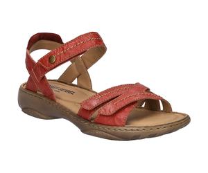 Debra 62 rot 38
