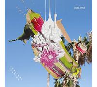 Debris Ogris - Constant Spring