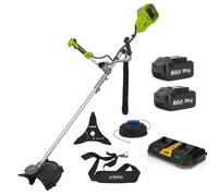 Débroussailleuse sans fil 40V 2 batteries Lithium 3Ah Chargeur double Lame 3 den