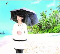 Debut Nijuu Go Shuunen Kikaku [Import allemand]