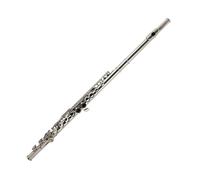 débutants Flûte 16 17 Flûte En Do Pour Débutants Instrument D Examen Ouvert Et Fermé(16-hole open-cell silver plating)