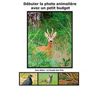 Débuter la photo animalière avec un petit budget