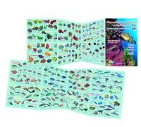 Dec de la Vie S/Marine en Méditerranée Dépliant