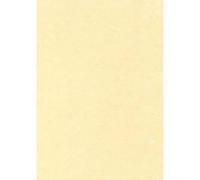 Decadry Boîte De 50 Feuilles A4 165g Parchemin Or