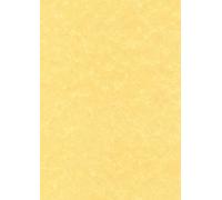 Decadry PCL 1676 Papier de Communication Structuré A4 165g 50 Feuilles Parchemin Or