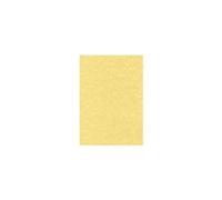 DECAdry PCL1600 - Parchemin - or - A4 (210 x 297 mm) - 95 g/m² - 100 feuille(s) papier texturé